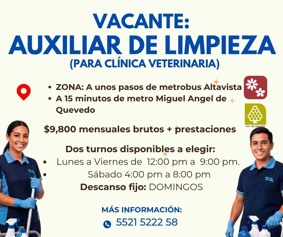 Auxiliar de Limpieza