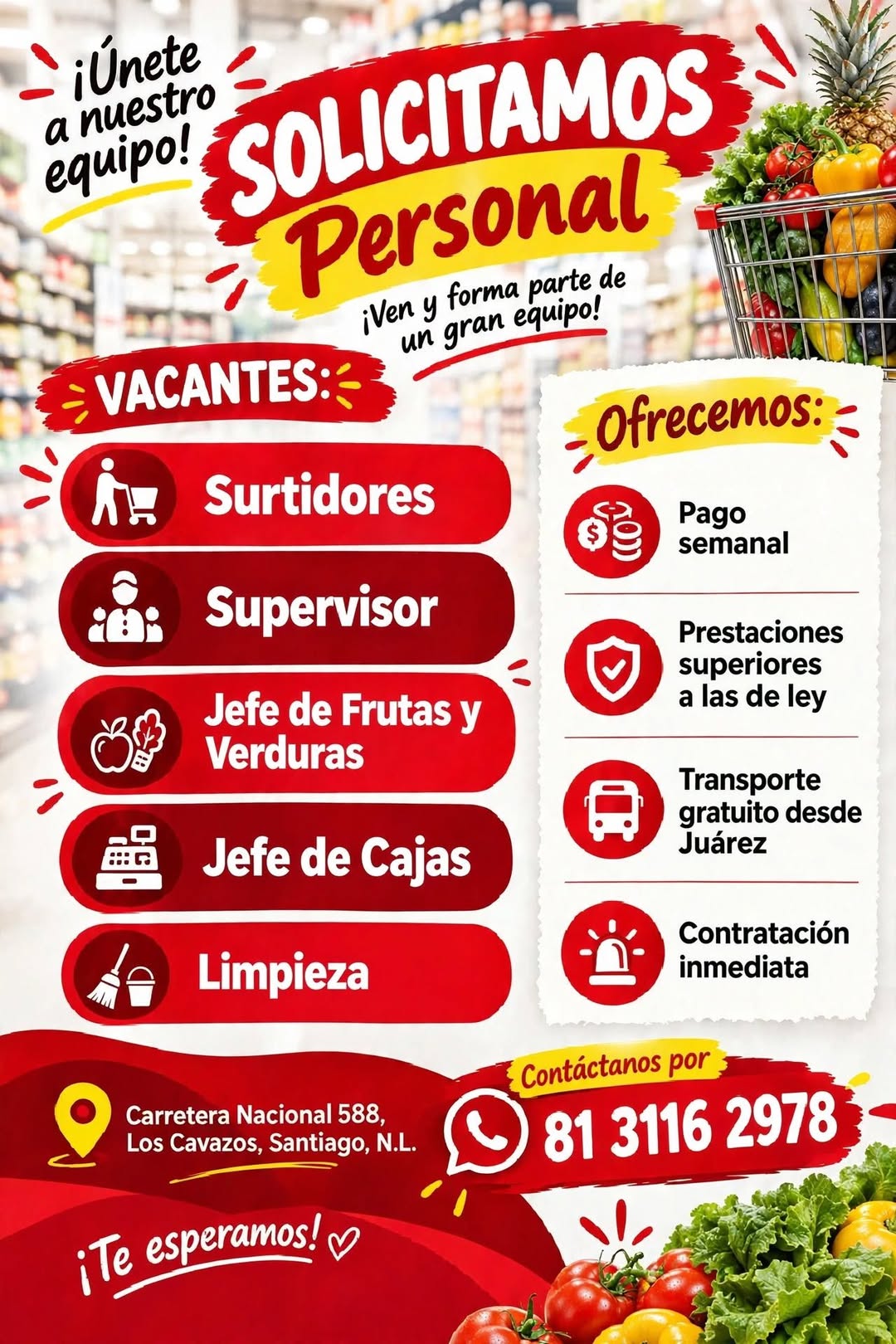 Vacante disponible