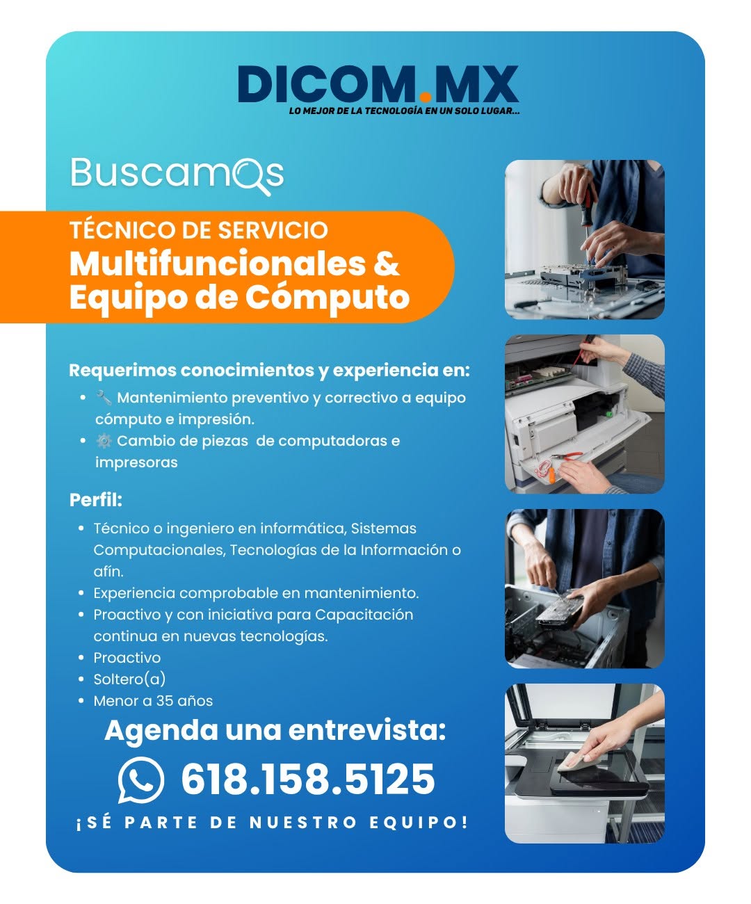 Técnico de Servicio