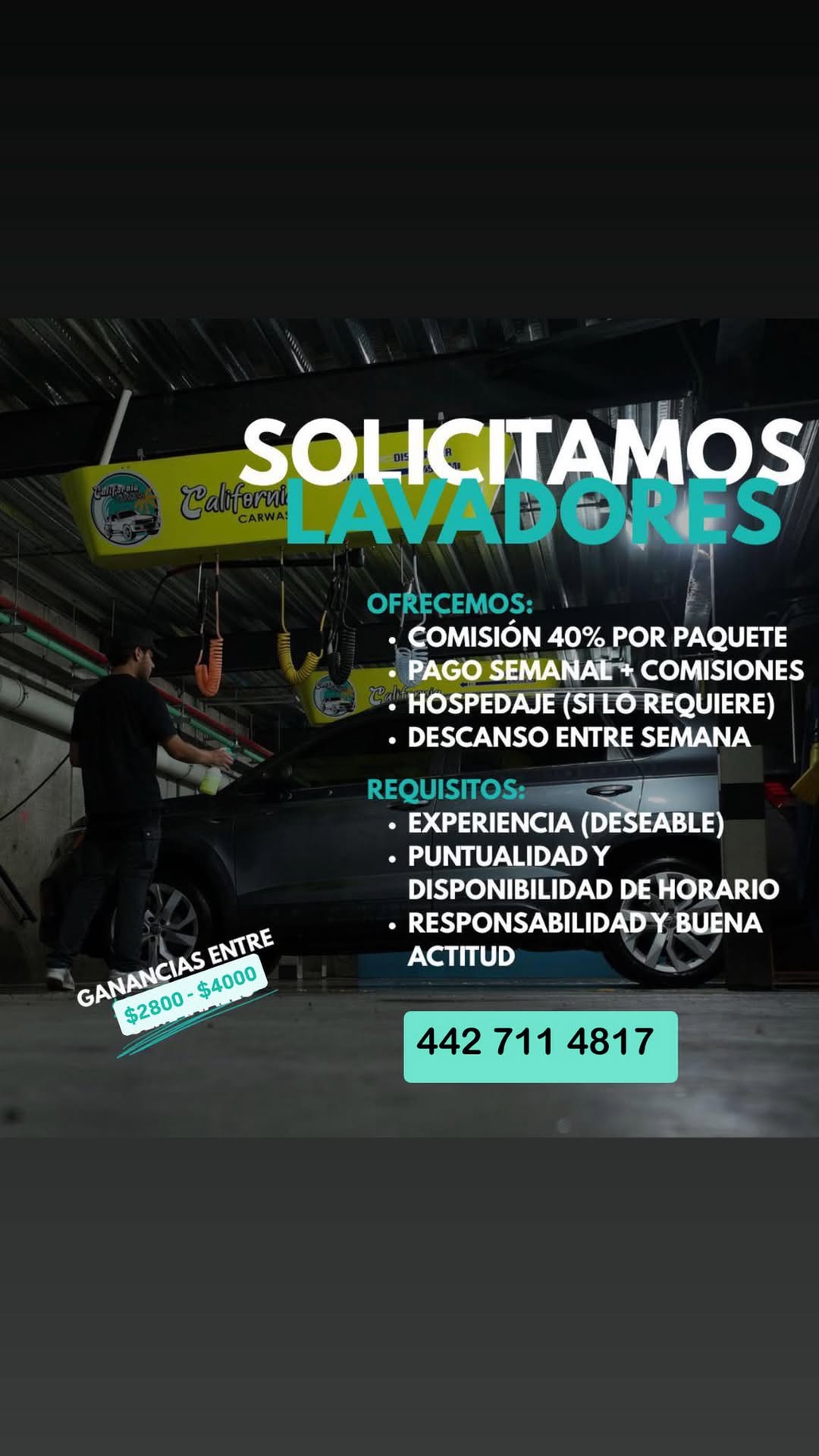 Lavador de Autos