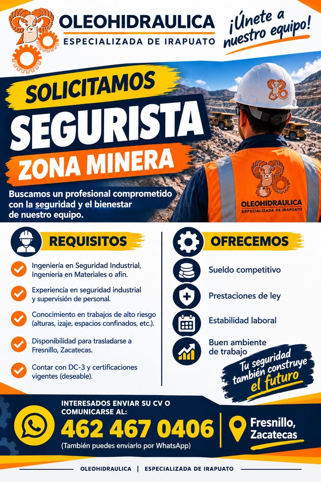 Segurista de Mina