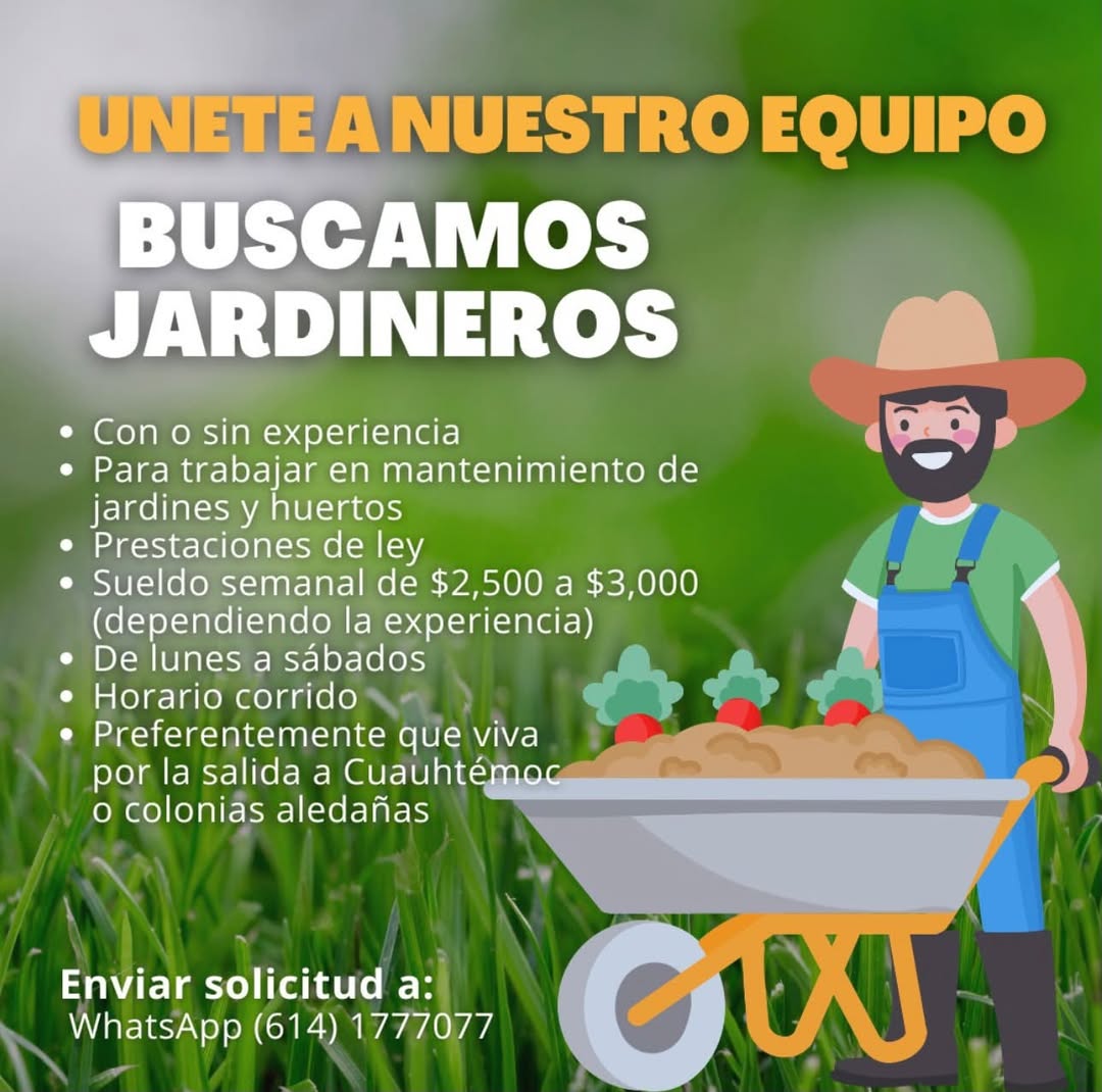 Vacante disponible