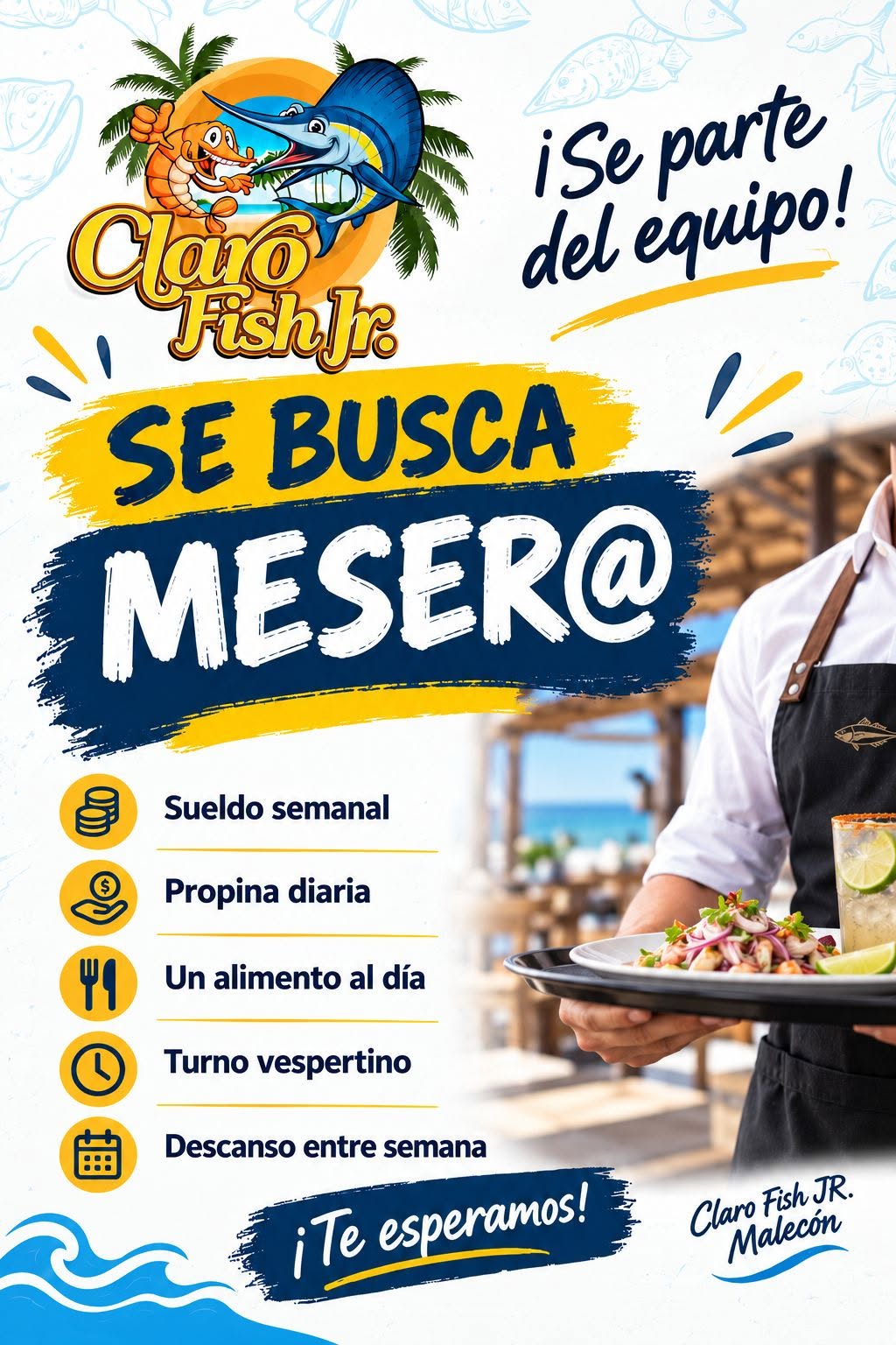 Vacante disponible