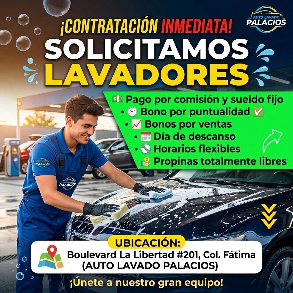 Lavador de Autos