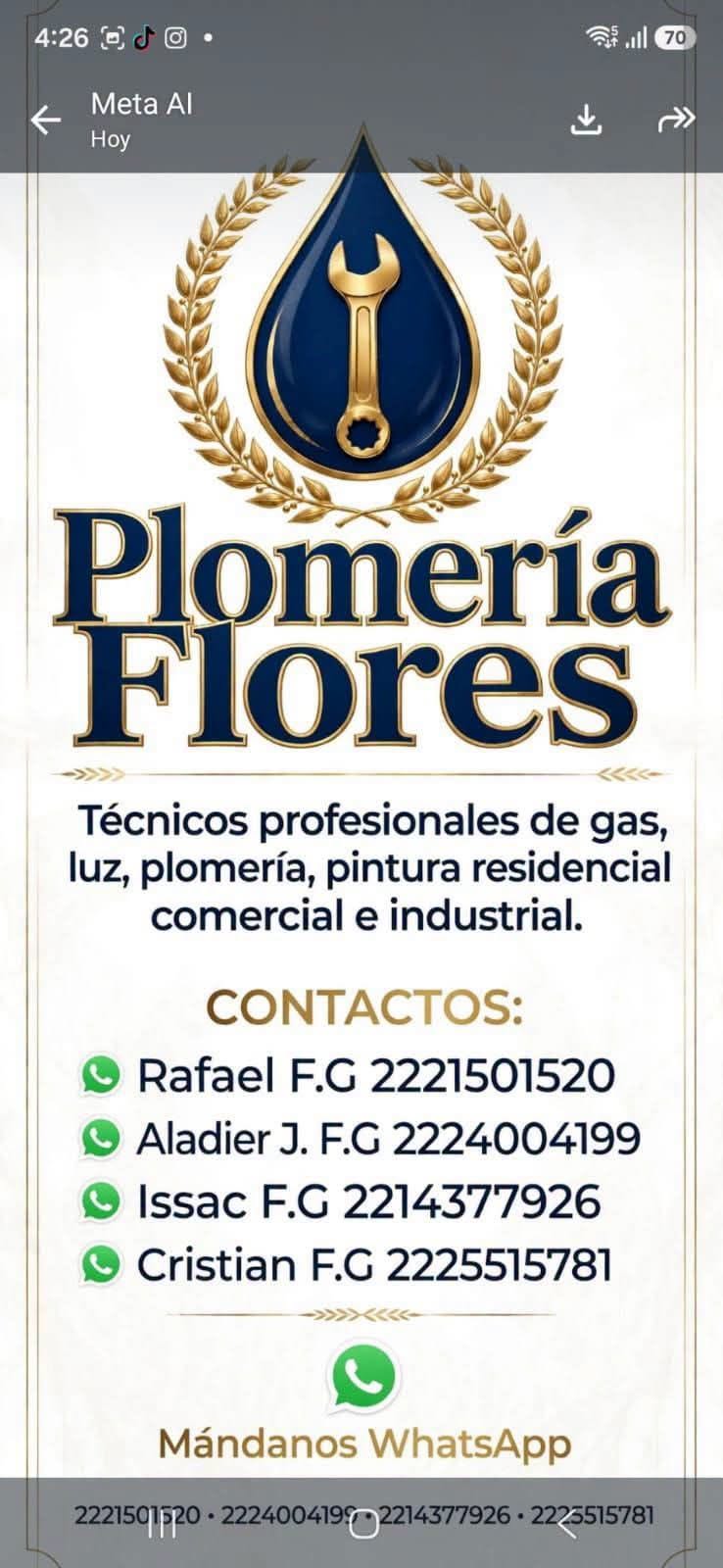 Técnico en Electrodomésticos