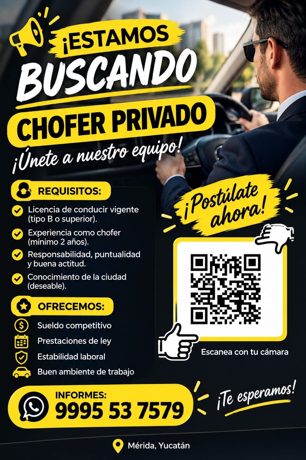 Chofer Privado