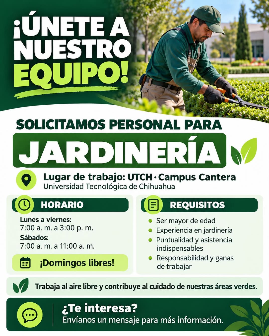 Vacante disponible