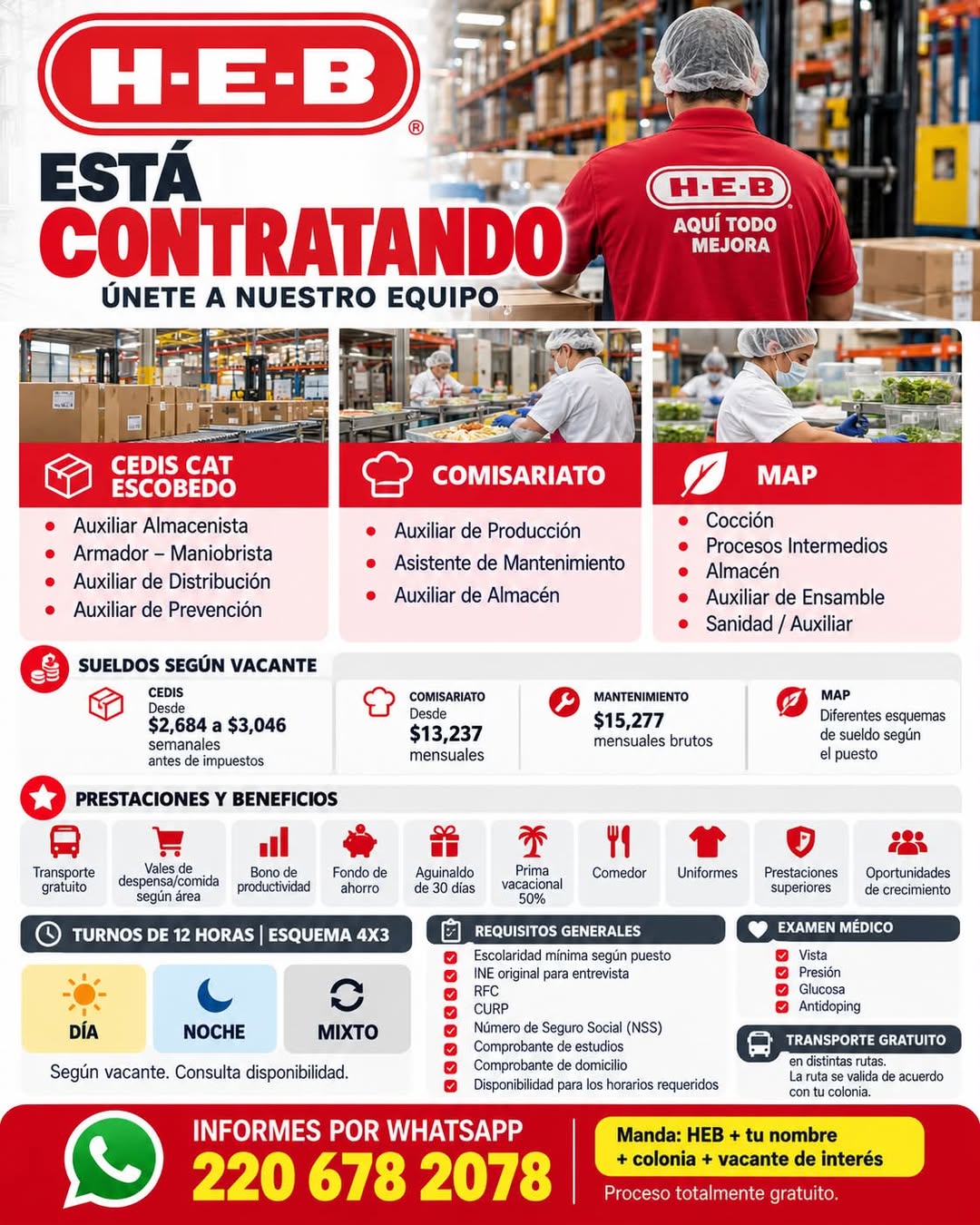 Auxiliar Almacenista
