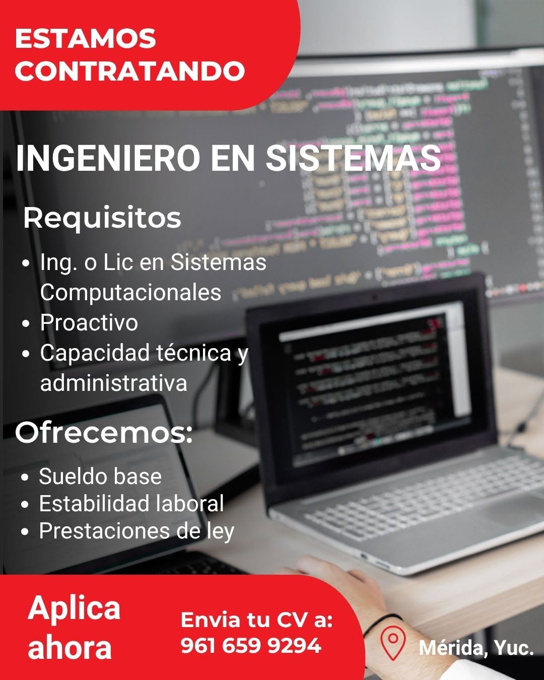 Ingeniero en Sistemas / Líder de Proyecto