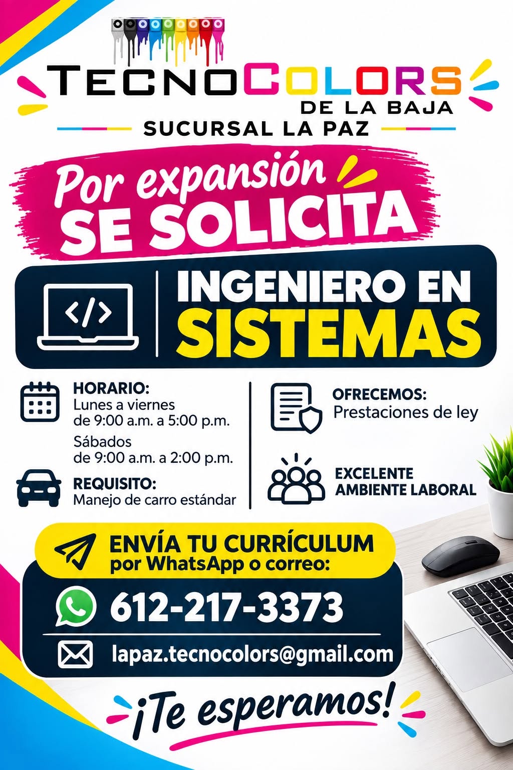 Ingeniero en Sistemas