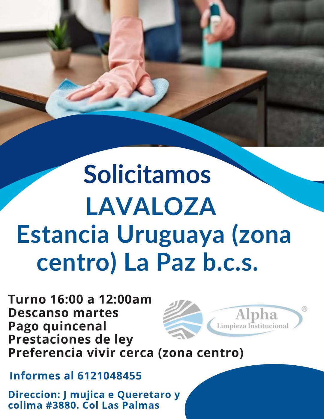 Vacante disponible