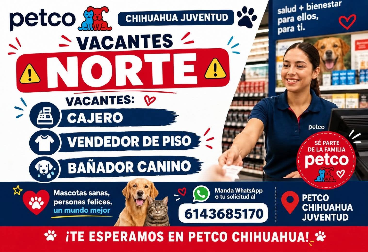 Vacante disponible