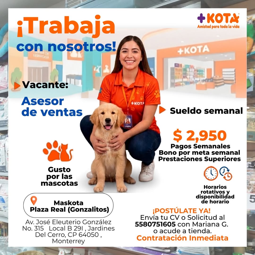 Asistente de tienda