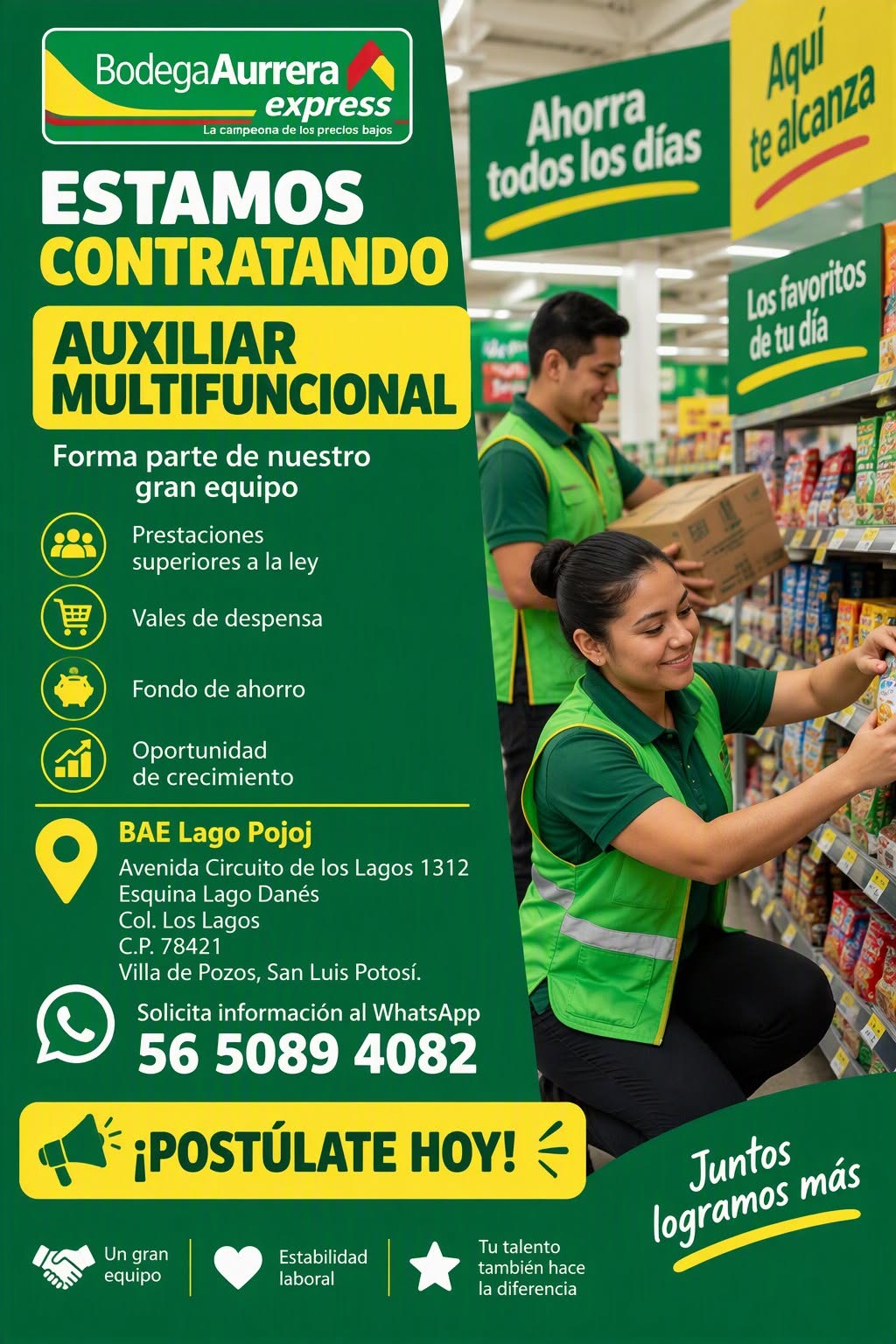 Auxiliar Multifuncional