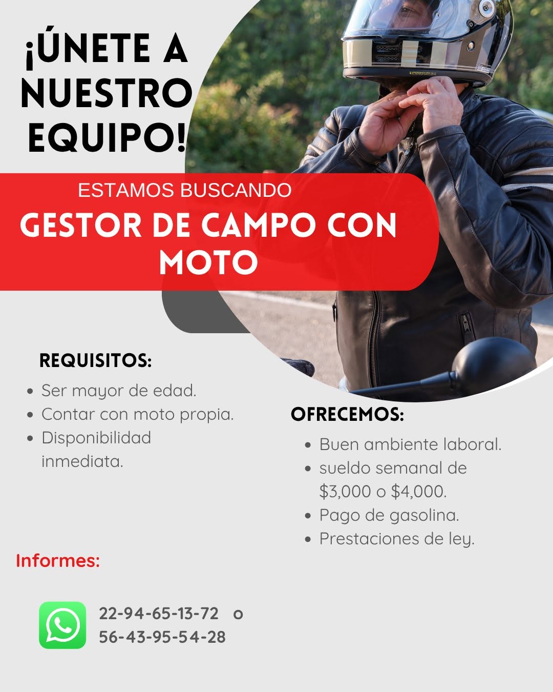 Gestor de Campo