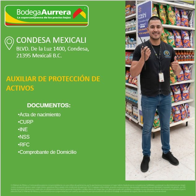 Auxiliar de Protección de Activos