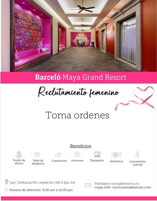Vacante disponible