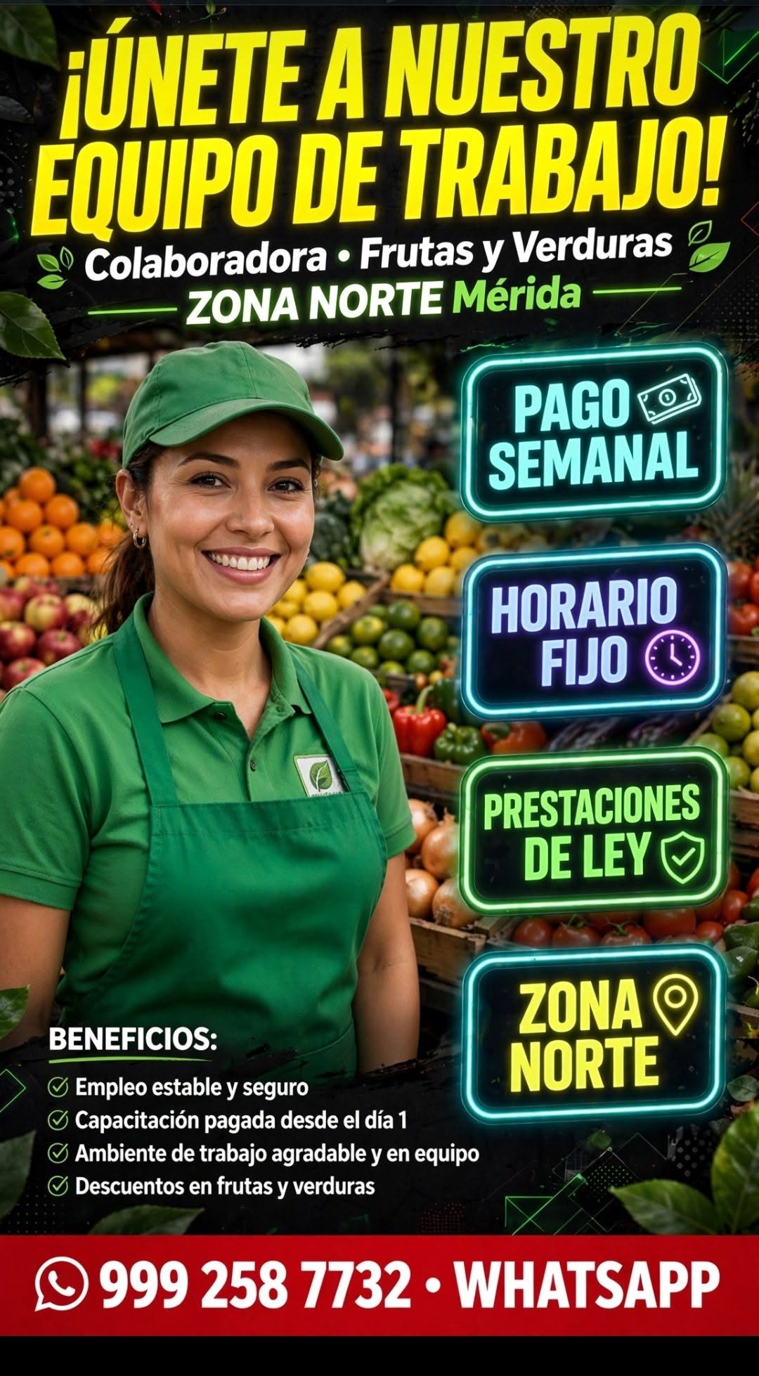 Colaborador de Área