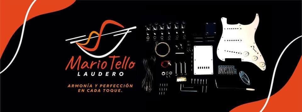 Reparador de Instrumentos Musicales