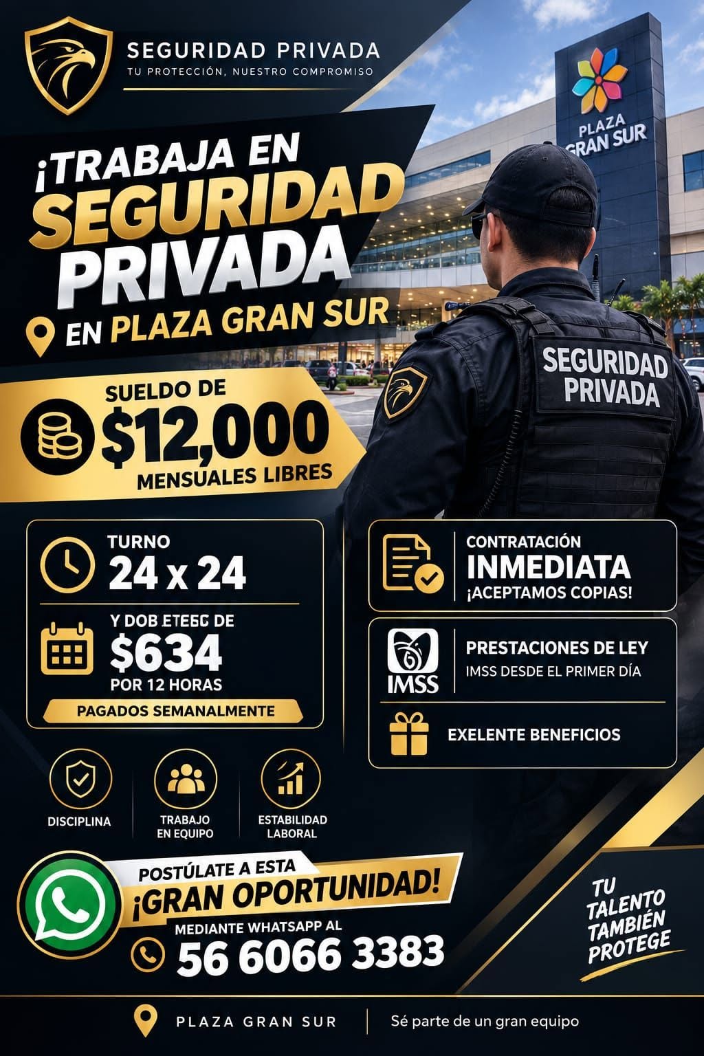 Guardia de Seguridad
