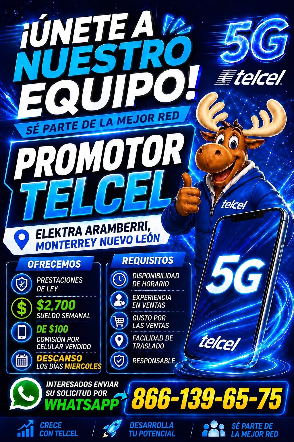 Promotor de Ventas