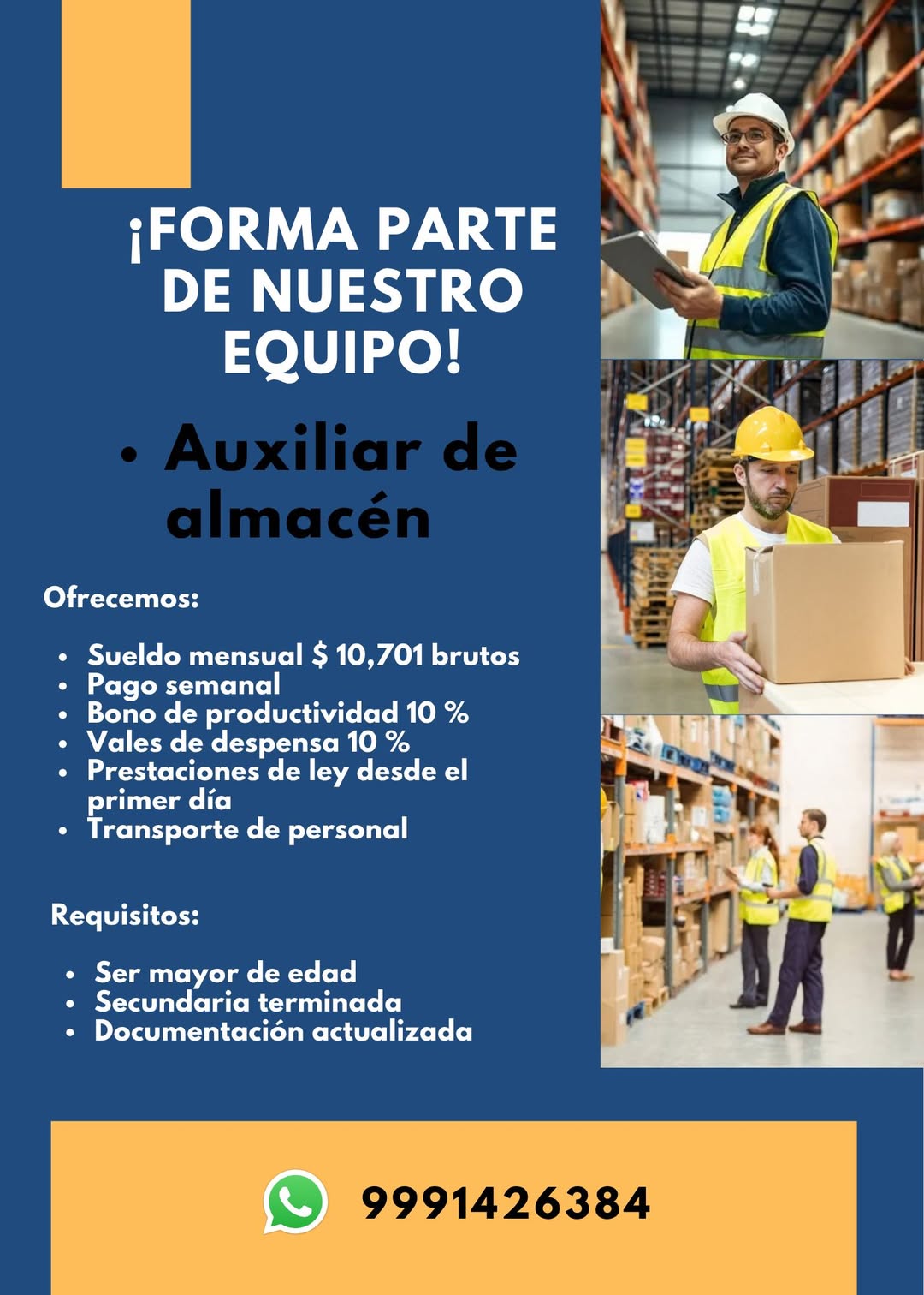 Auxiliar de Almacén