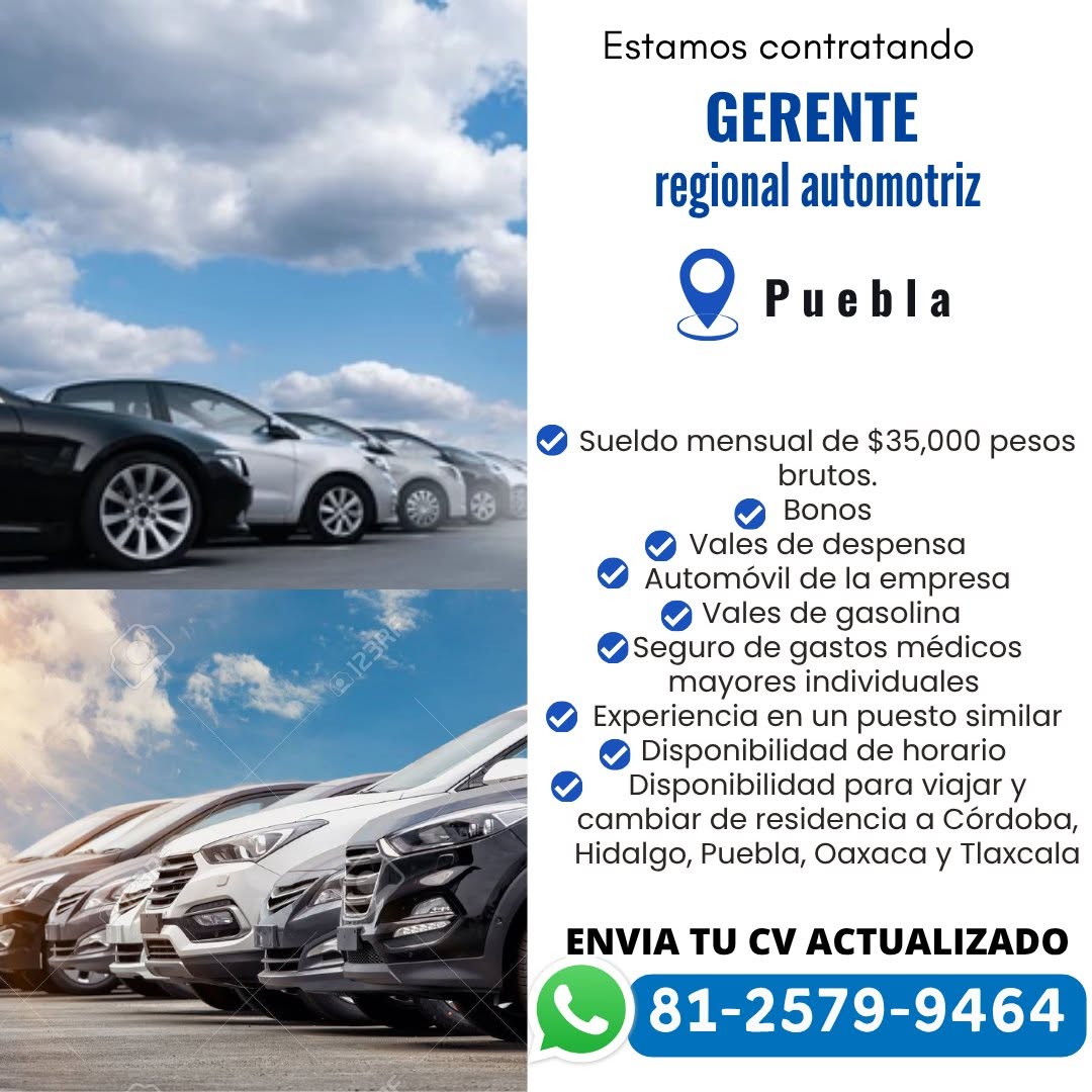 Gerente Automotriz