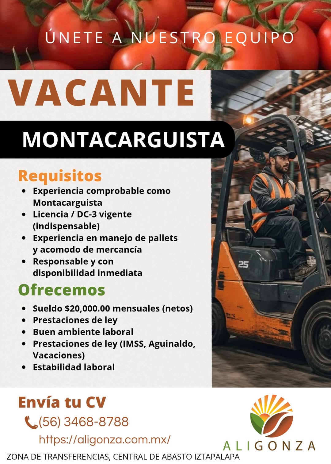 Montacarguista