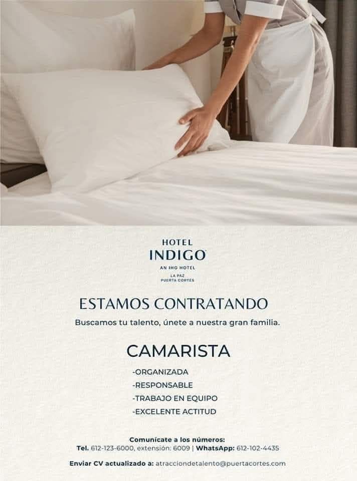 Camarista