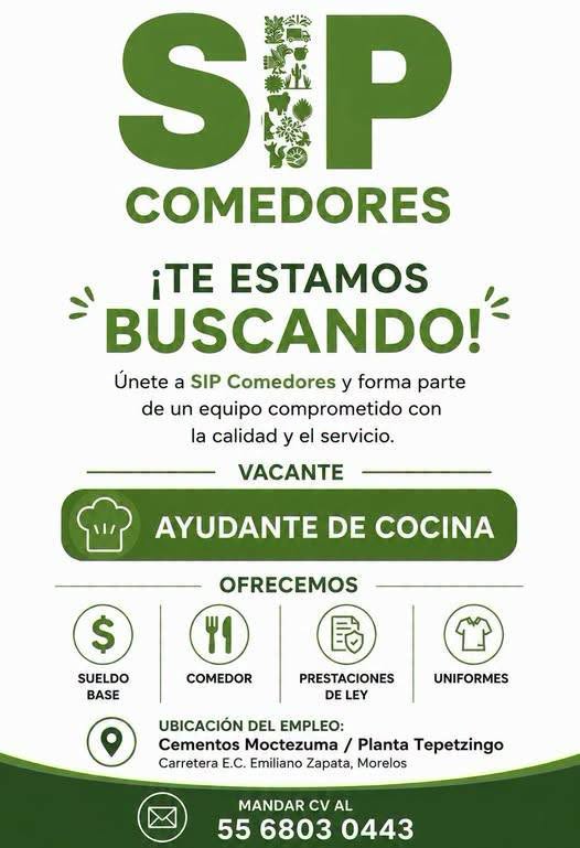 Ayudante de cocina