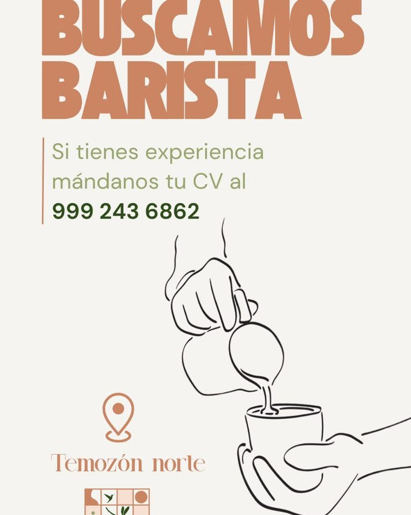 Barista