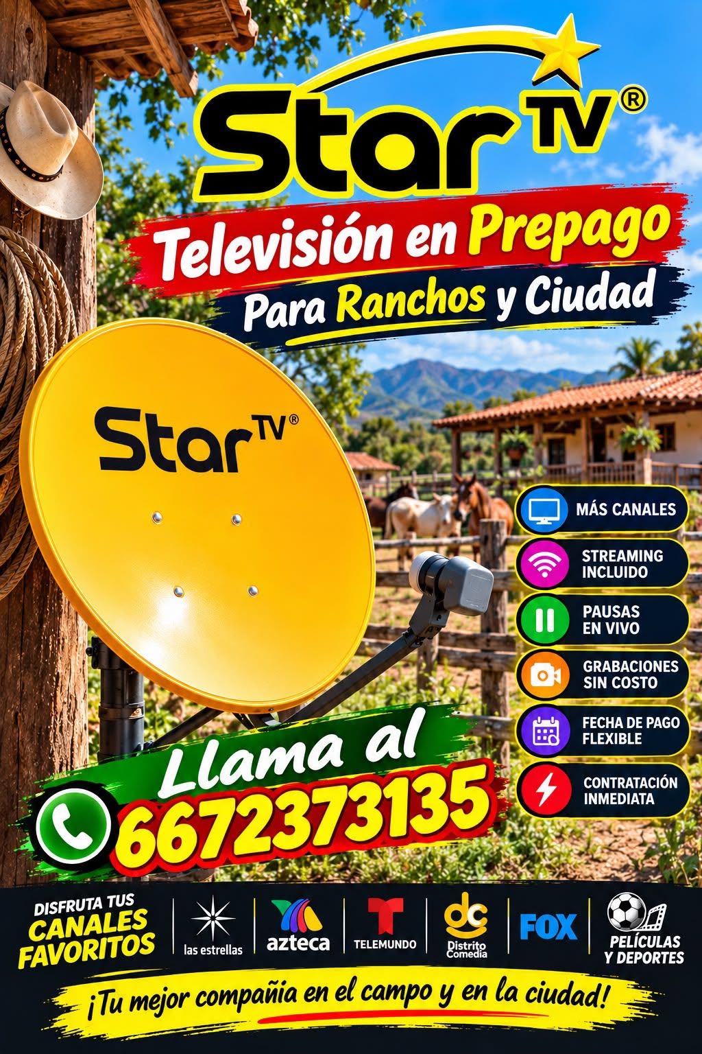 Vacante disponible