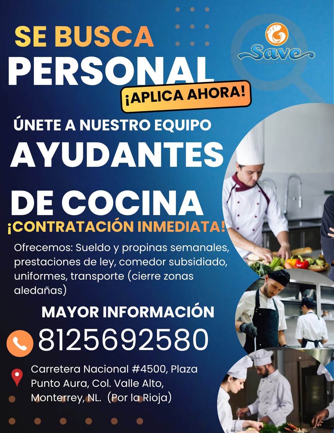 Ayudante de Cocina
