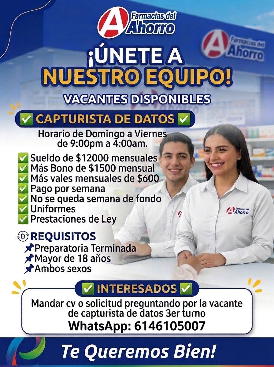 Capturista de Datos