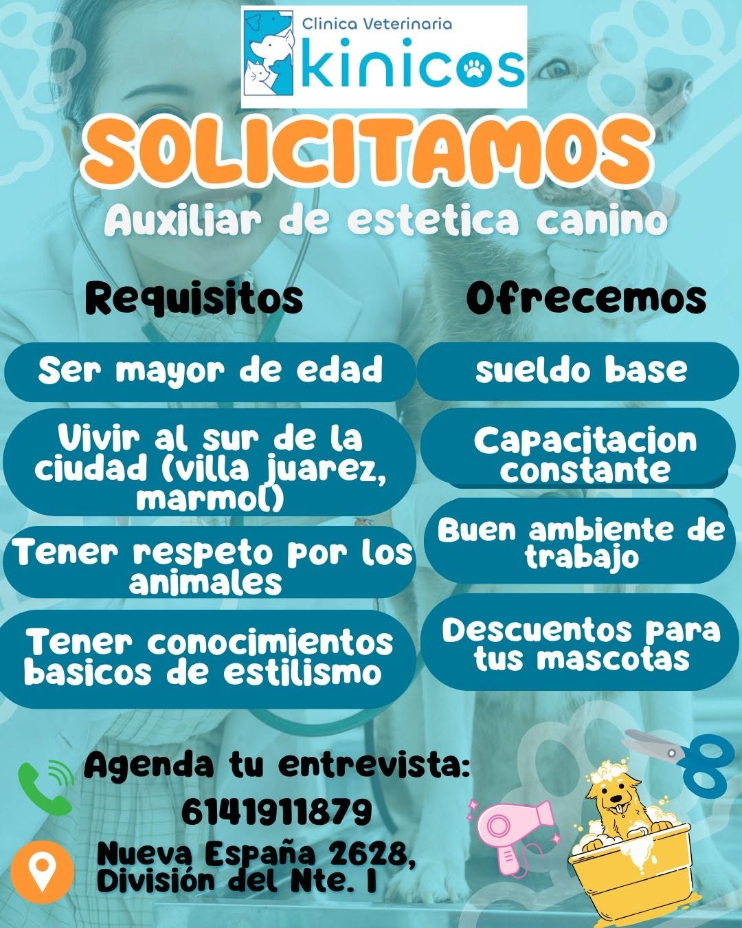 Empleado para Estética Canina