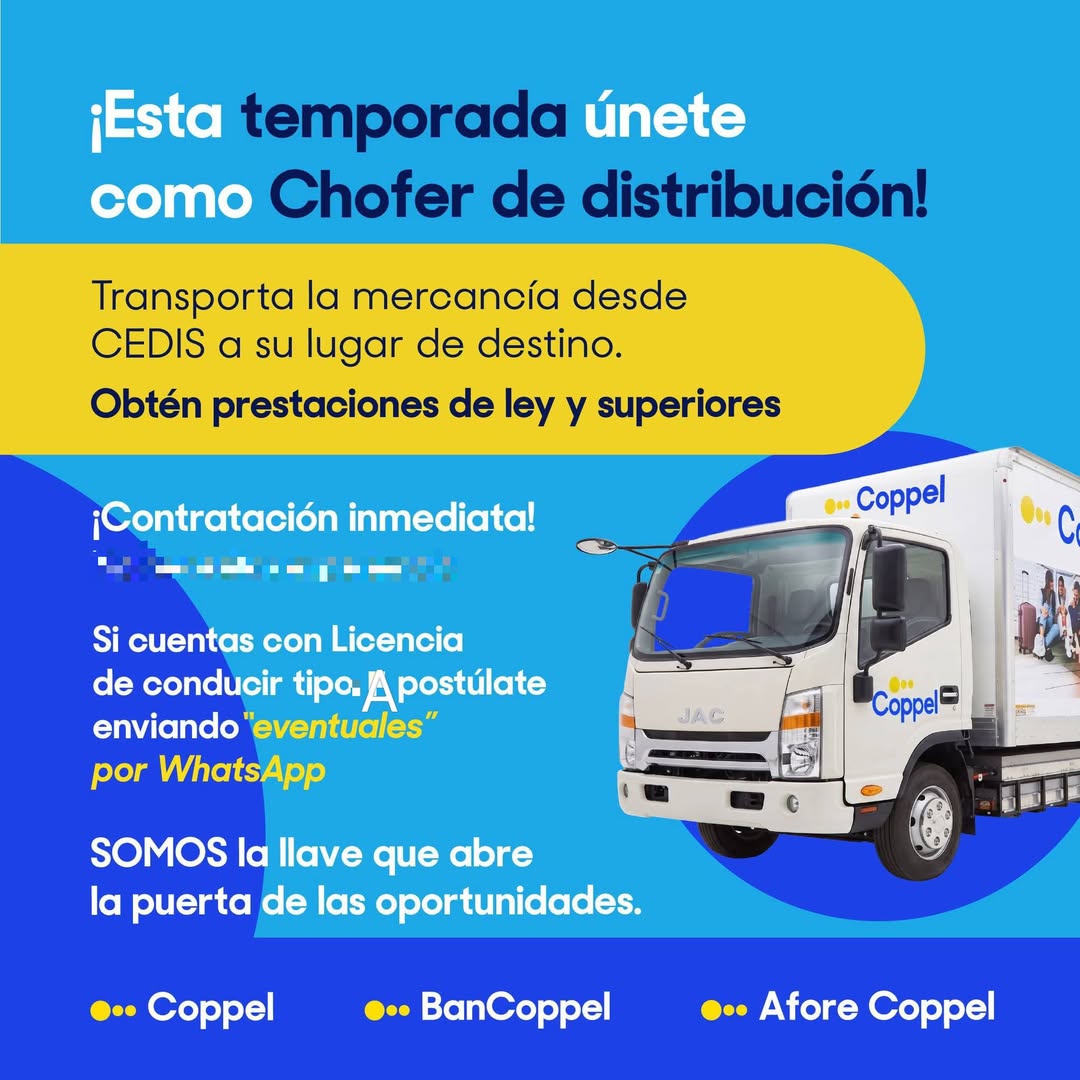 Chofer de Reparto