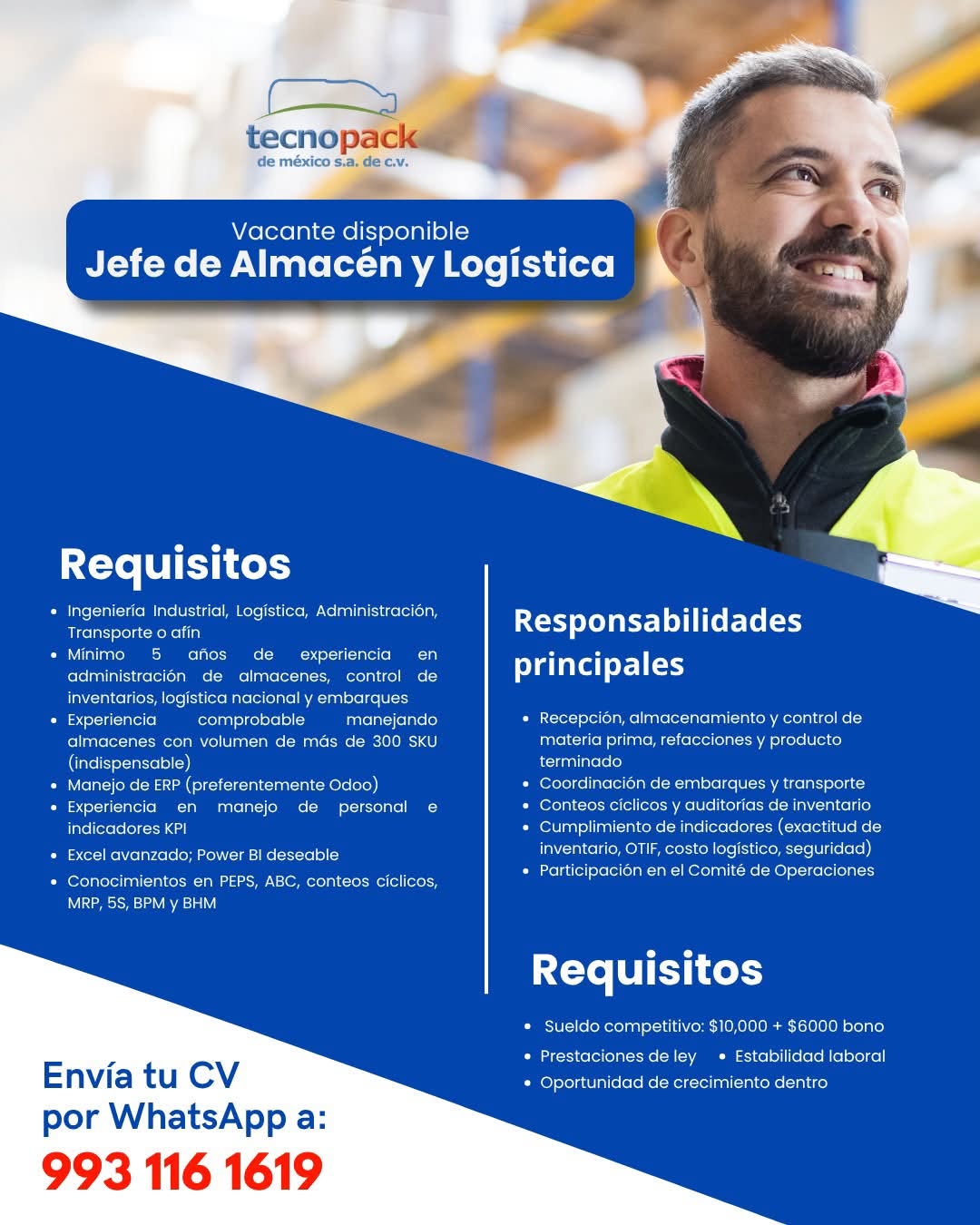 Jefe de Almacén y Logística