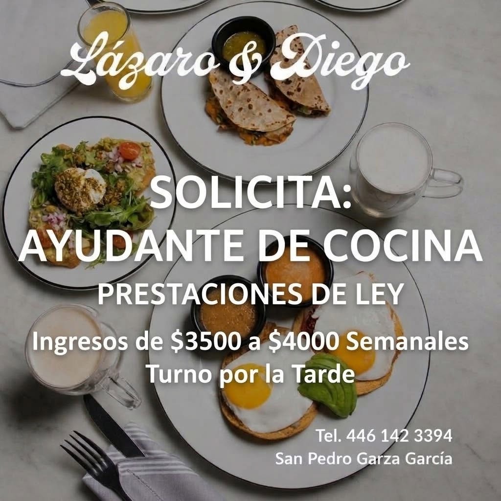 Ayudante de Cocina