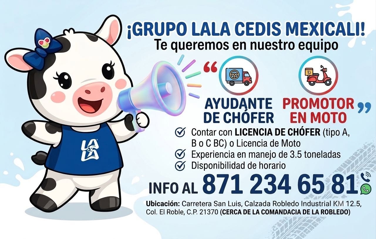 Ayudante de Chófer