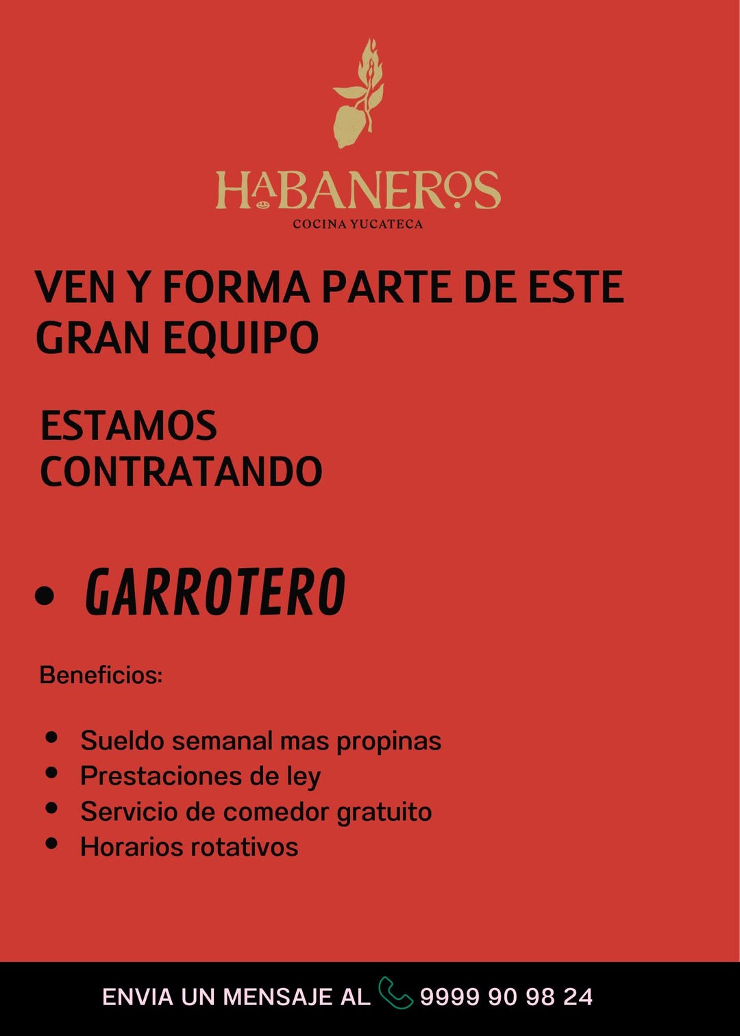 Vacante disponible