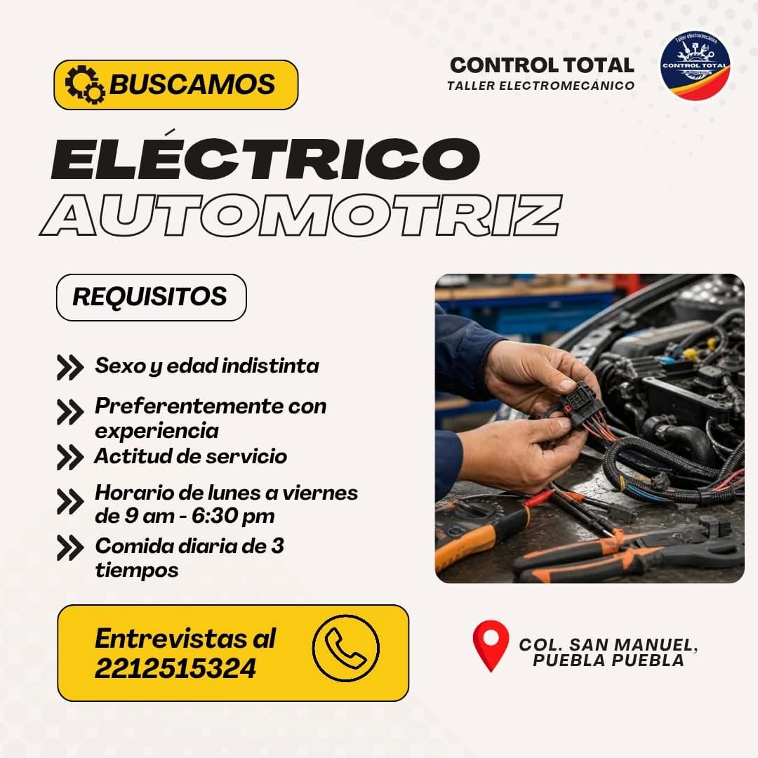 Eléctrico Automotriz