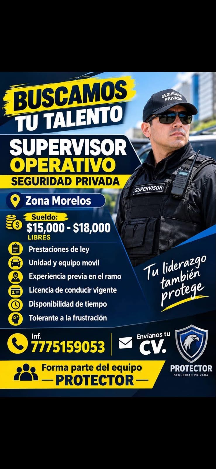 Supervisor Operativo/Security