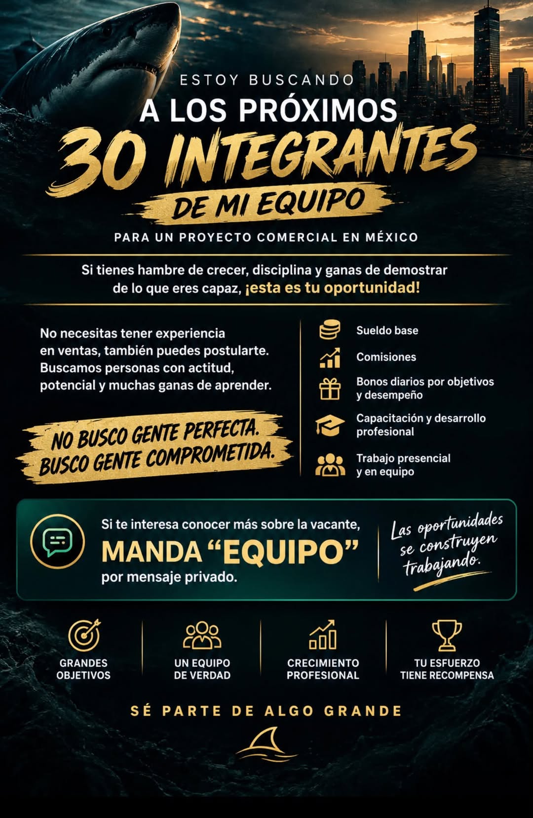 Vacante disponible