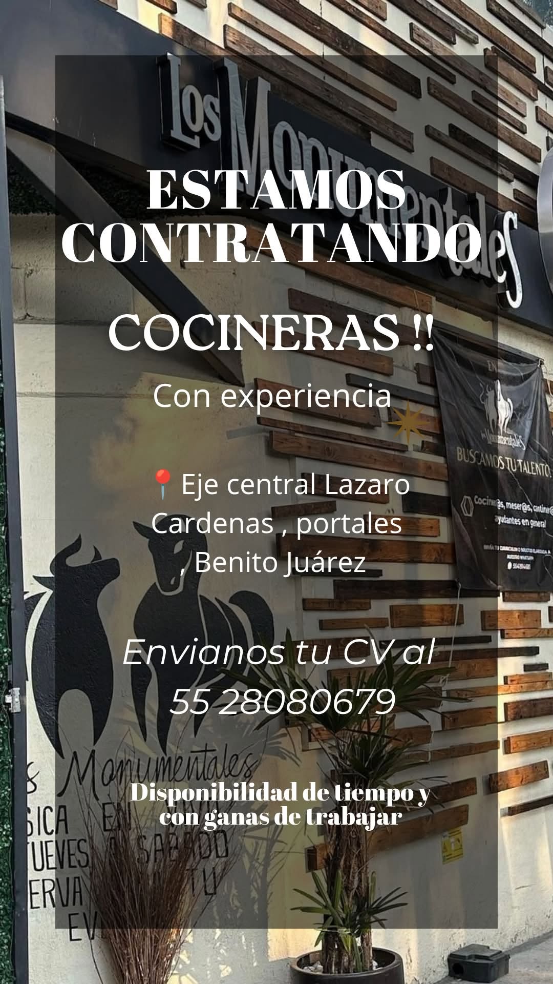 Vacante disponible