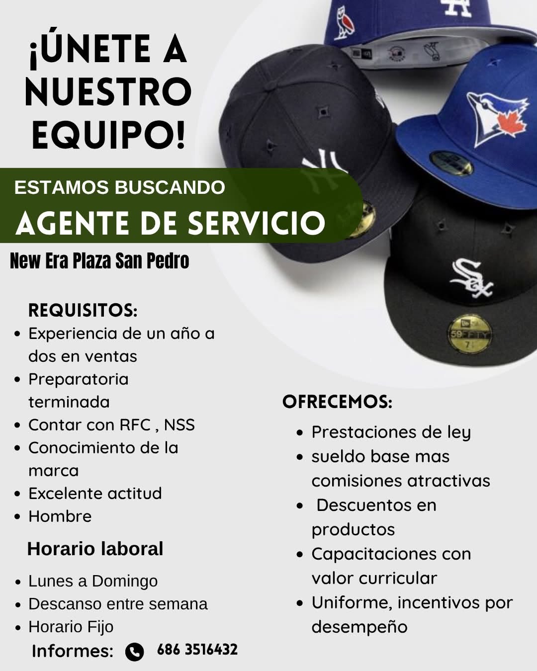 Agente de servicio