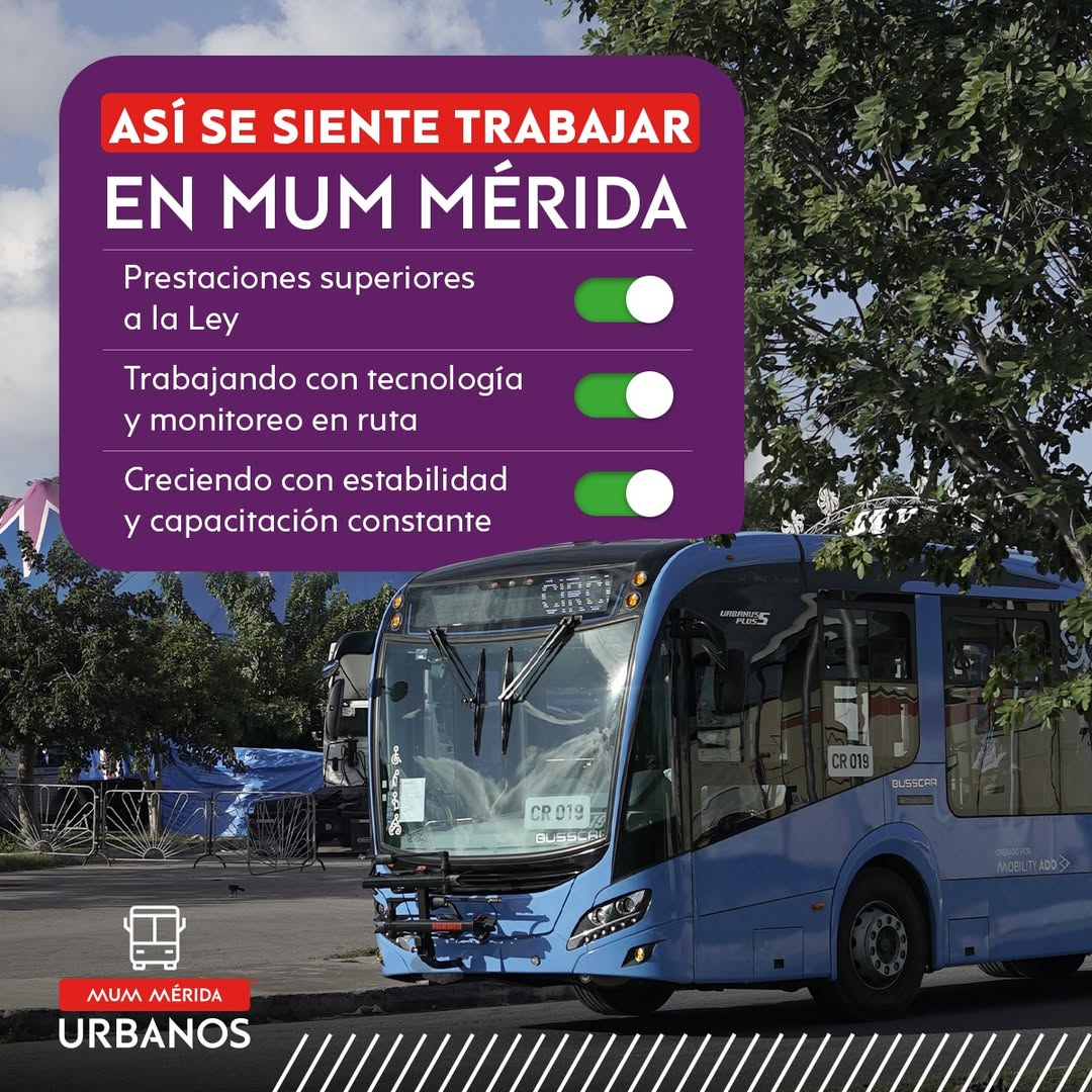 Conductor(a) profesional