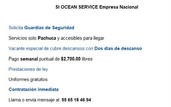 Guardia de Seguridad